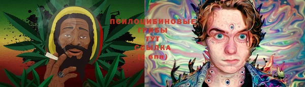 бошки Богородицк
