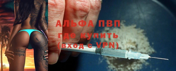 прущий лед Богданович