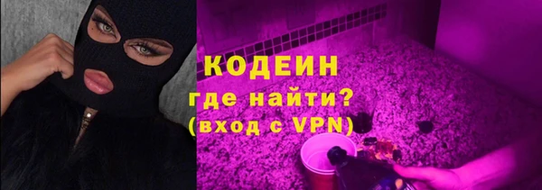 шишки Богородск