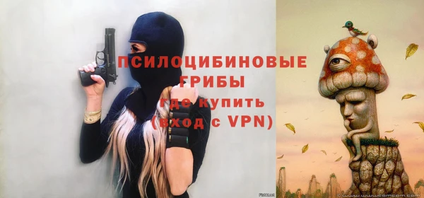 шишки Богородск