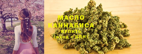 прущий лед Богданович