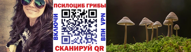 blacksprut рабочий сайт  Володарск  Псилоцибиновые грибы GOLDEN TEACHER 